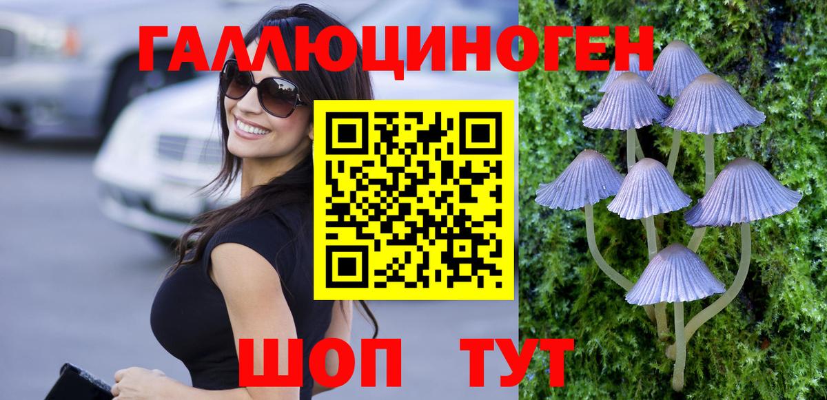 Псилоцибиновые грибы прущие грибы Новочебоксарск