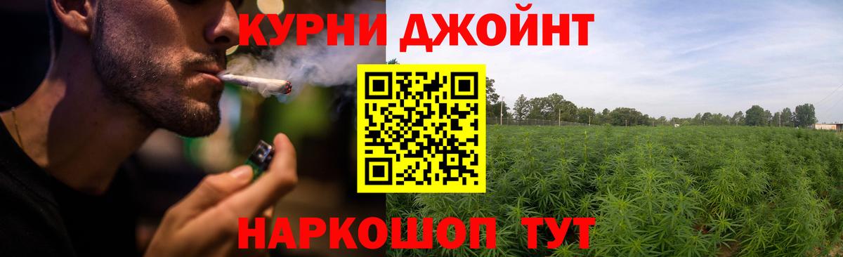 МАРИХУАНА сатива Новочебоксарск